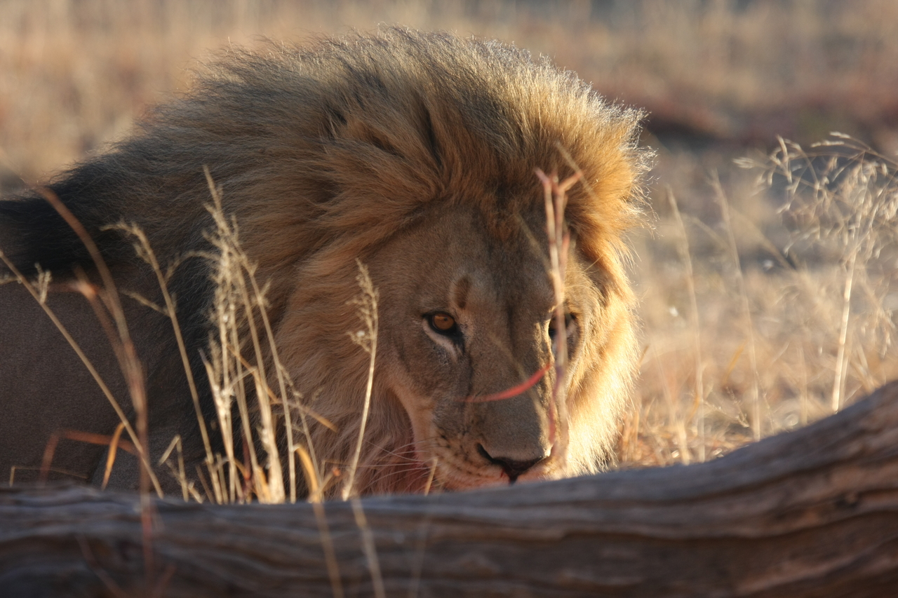 [8030] 2016_06_23_11_48_51_Africa_Canon_EOS_40D_IMG__00782.jpg