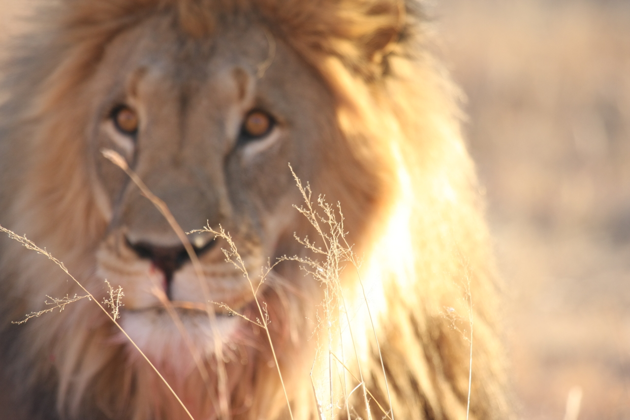 [8037] 2016_06_23_11_49_17_Africa_Canon_EOS_40D_IMG__00785.jpg