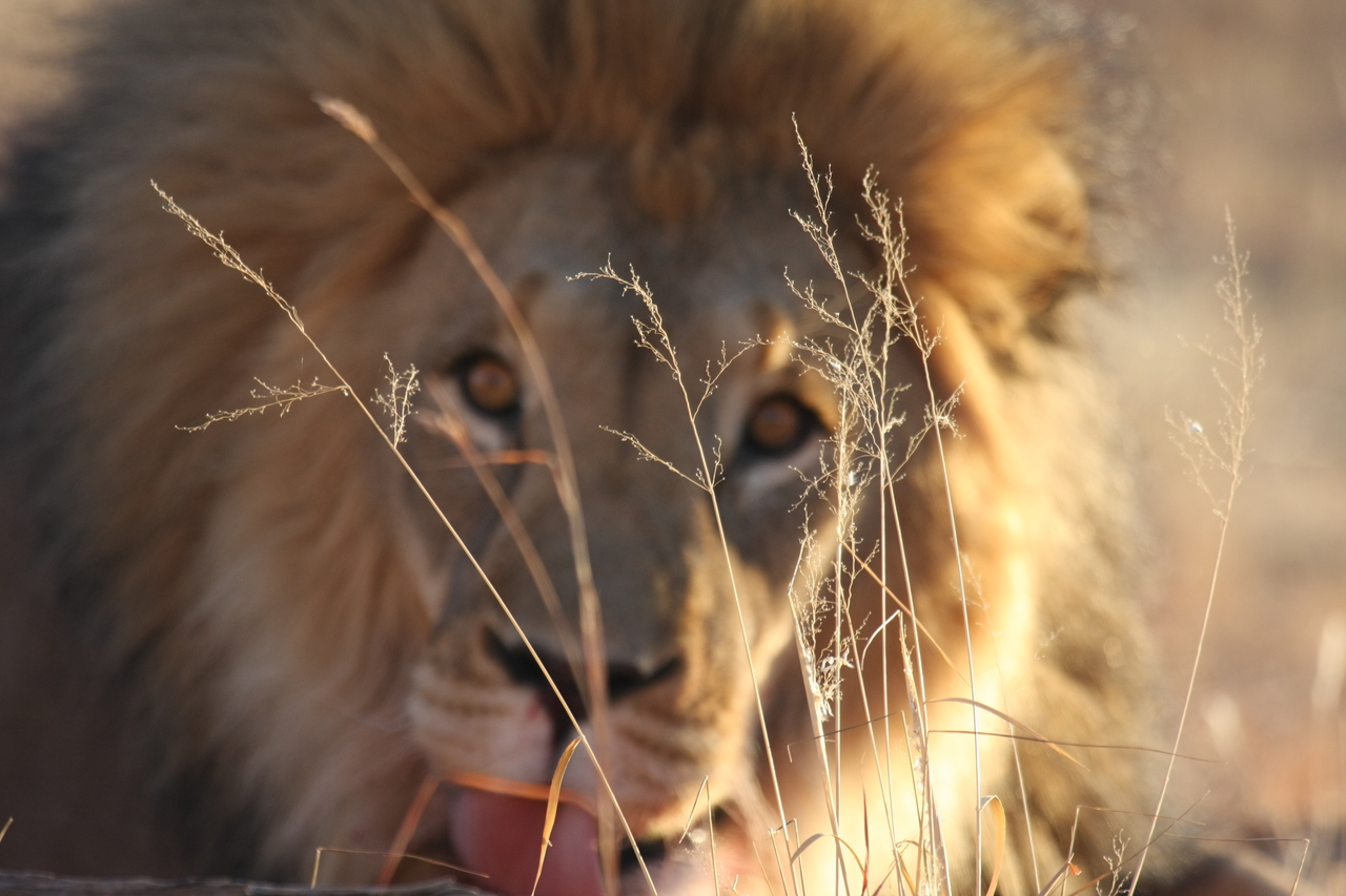 [8048] 2016_06_23_11_49_20_Africa_Canon_EOS_40D_IMG__00789.jpg