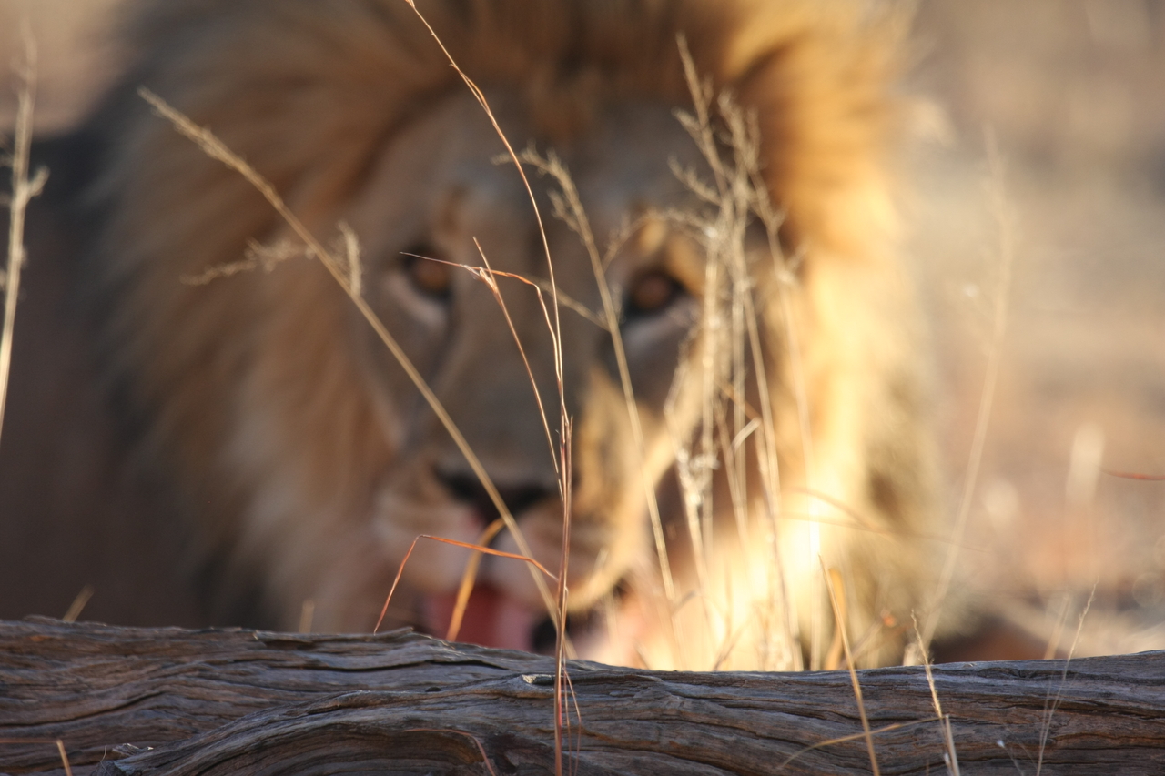 [8067] 2016_06_23_11_49_26_Africa_Canon_EOS_40D_IMG__09075.jpg