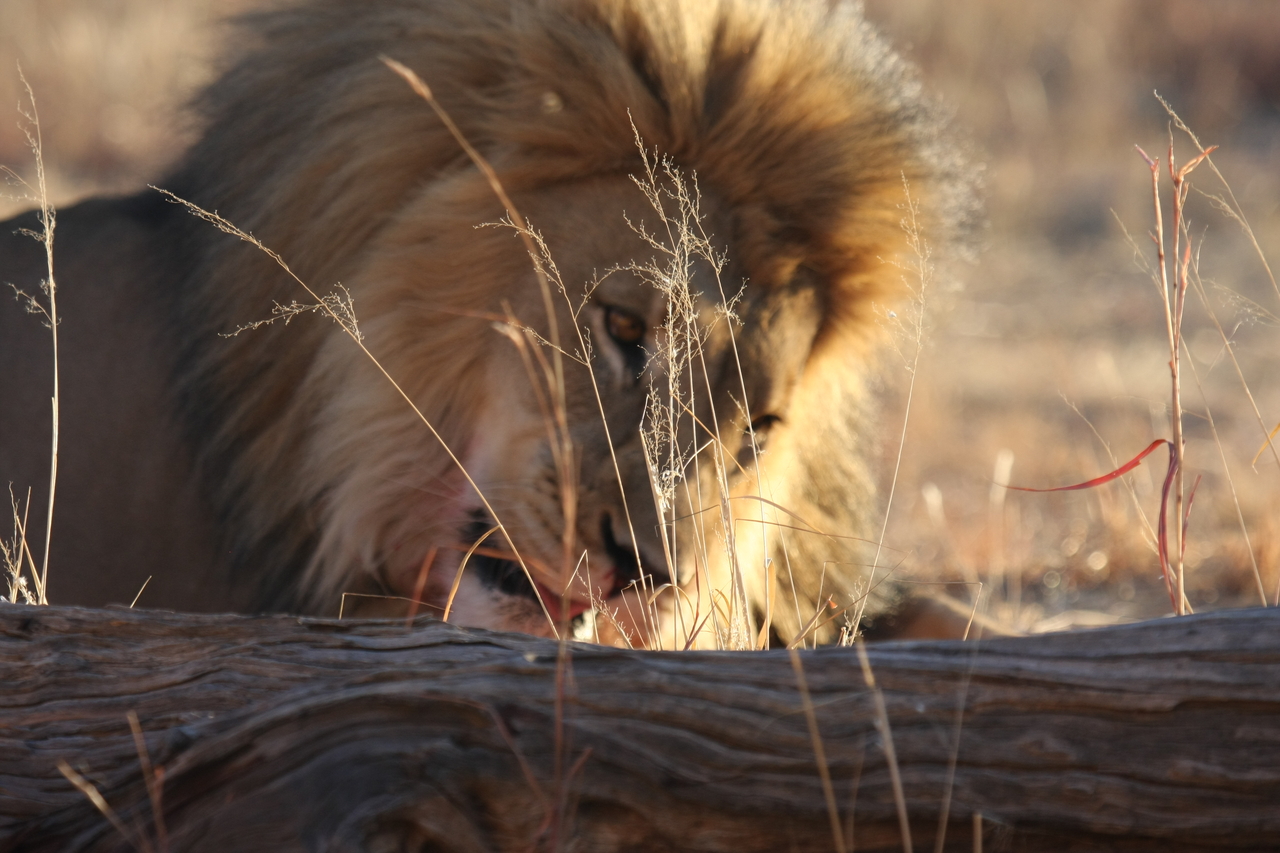 [8070] 2016_06_23_11_49_41_Africa_Canon_EOS_40D_IMG__09076.jpg