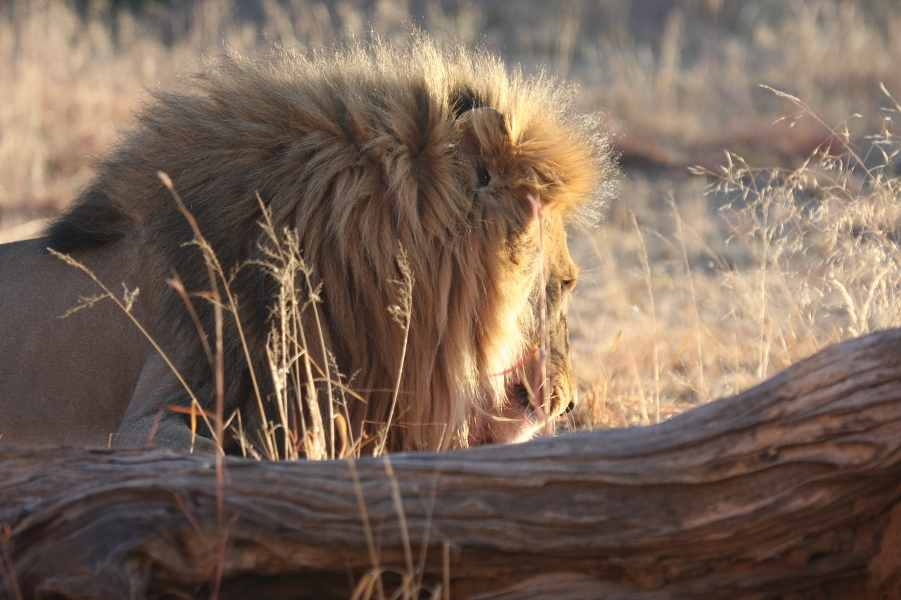 [8073] 2016_06_23_11_50_26_Africa_Canon_EOS_40D_IMG__09077.jpg