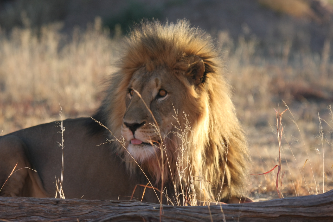 [8076] 2016_06_23_11_51_08_Africa_Canon_EOS_40D_IMG__00800.jpg