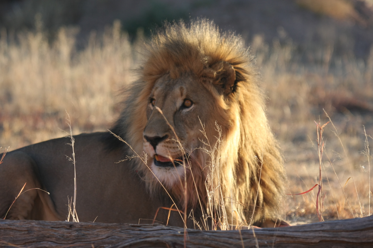 [8077] 2016_06_23_11_51_08_Africa_Canon_EOS_40D_IMG__01631.jpg