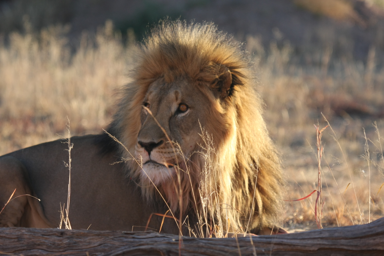 [8090] 2016_06_23_11_51_09_Africa_Canon_EOS_40D_IMG__09083.jpg