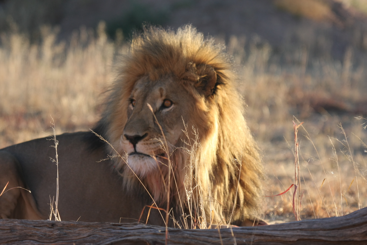 [8094] 2016_06_23_11_51_10_Africa_Canon_EOS_40D_IMG__09085.jpg