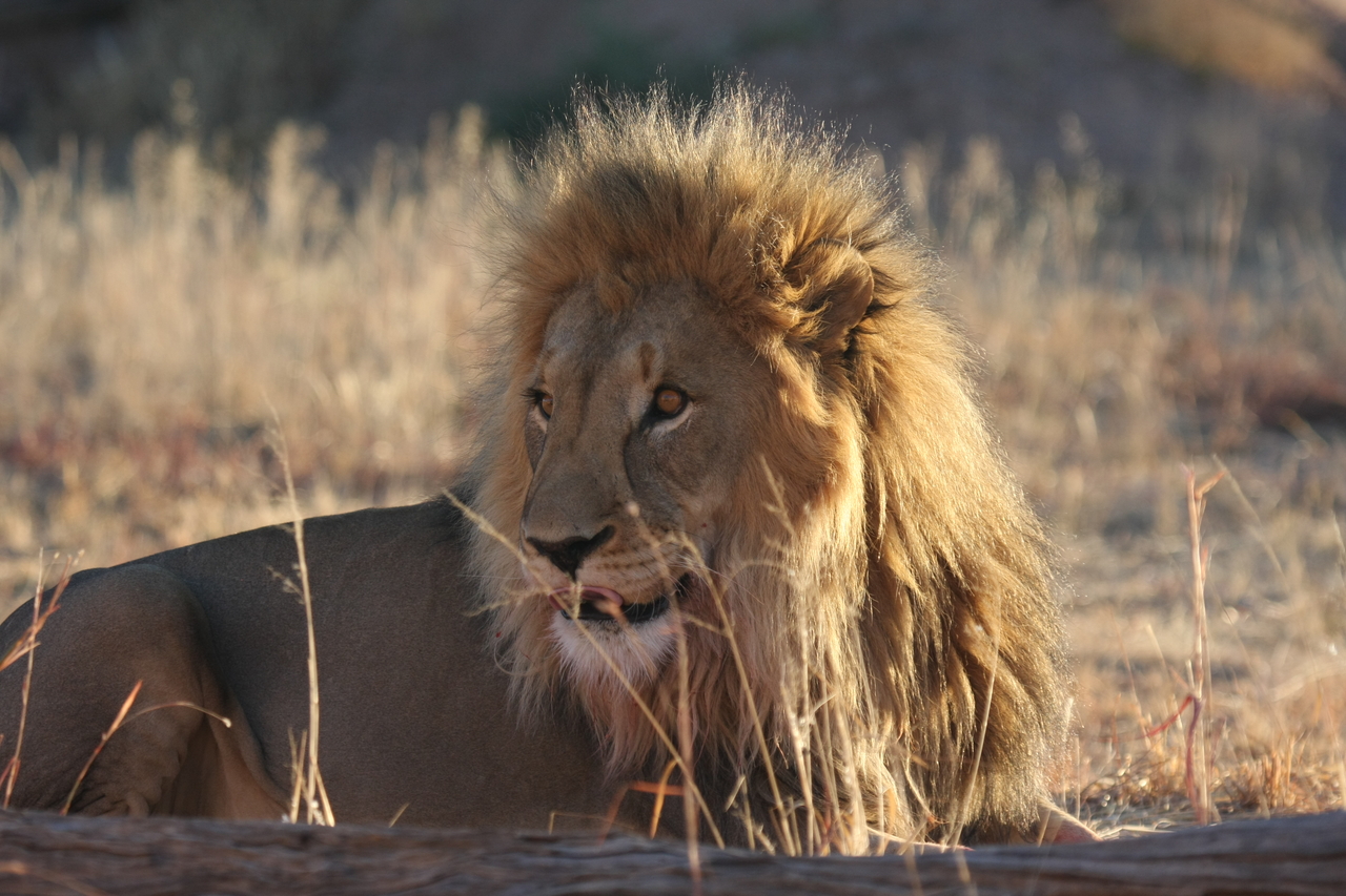 [8101] 2016_06_23_11_51_13_Africa_Canon_EOS_40D_IMG__00807.jpg