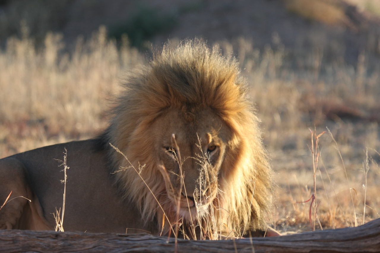 [8104] 2016_06_23_11_51_14_Africa_Canon_EOS_40D_IMG__00808.jpg