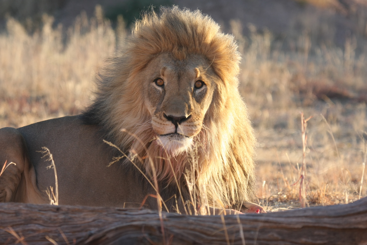 [8113] 2016_06_23_11_51_41_Africa_Canon_EOS_40D_IMG__01646.jpg