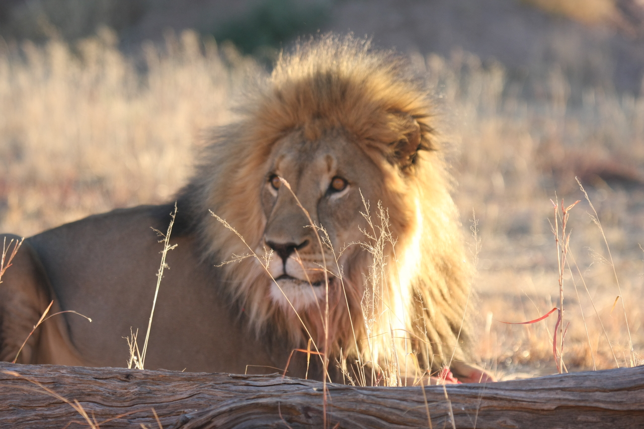 [8130] 2016_06_23_11_51_54_Africa_Canon_EOS_40D_IMG__00819.jpg