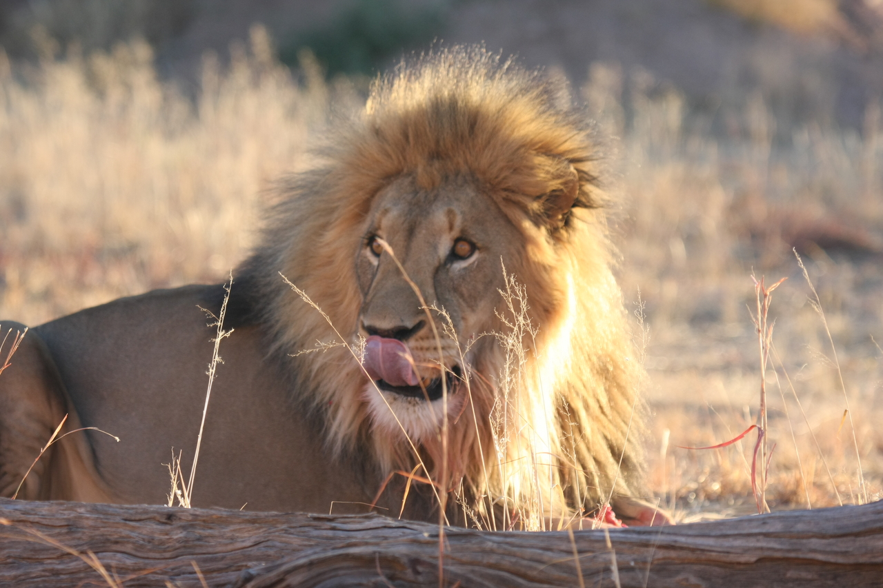 [8139] 2016_06_23_11_51_55_Africa_Canon_EOS_40D_IMG__09102.jpg