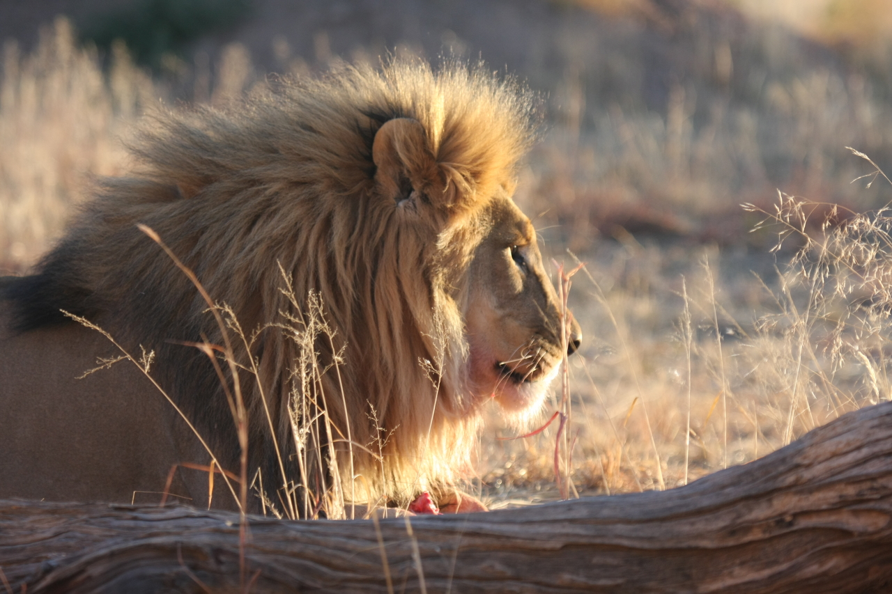 [8164] 2016_06_23_11_52_03_Africa_Canon_EOS_40D_IMG__00830.jpg