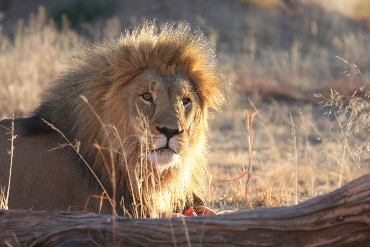 [8173] 2016_06_23_11_52_04_Africa_Canon_EOS_40D_IMG__01668.jpg