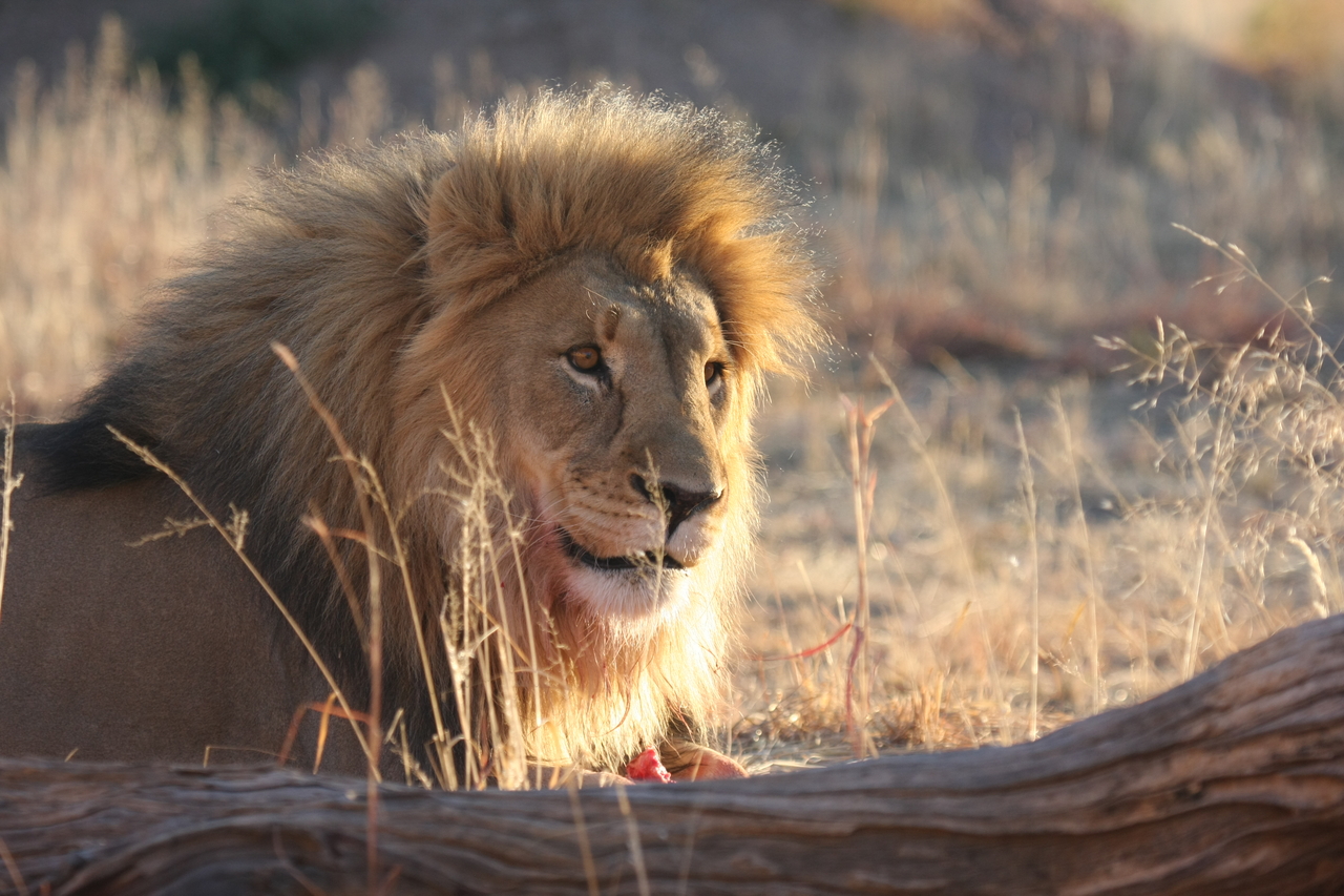 [8174] 2016_06_23_11_52_04_Africa_Canon_EOS_40D_IMG__09114.jpg