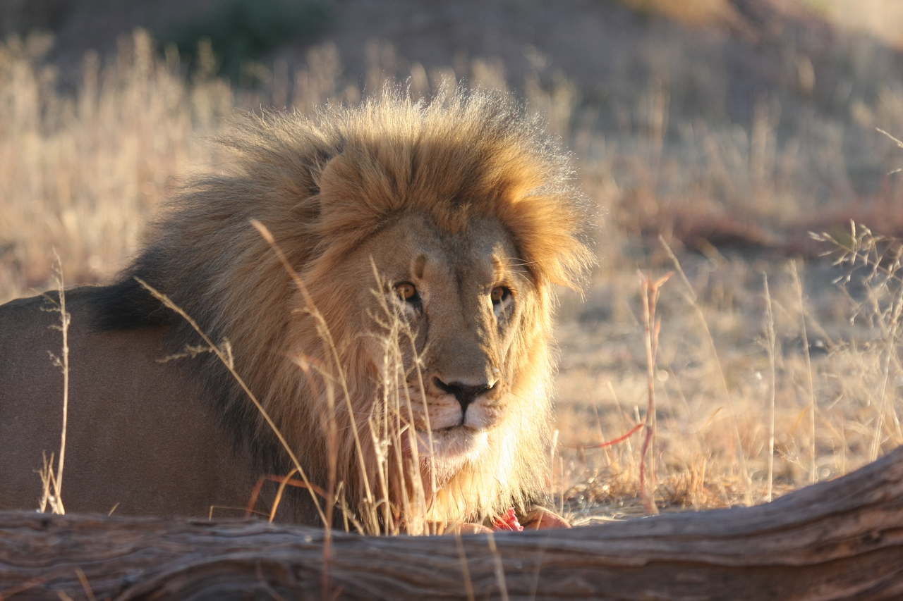 [8177] 2016_06_23_11_52_05_Africa_Canon_EOS_40D_IMG__00836.jpg