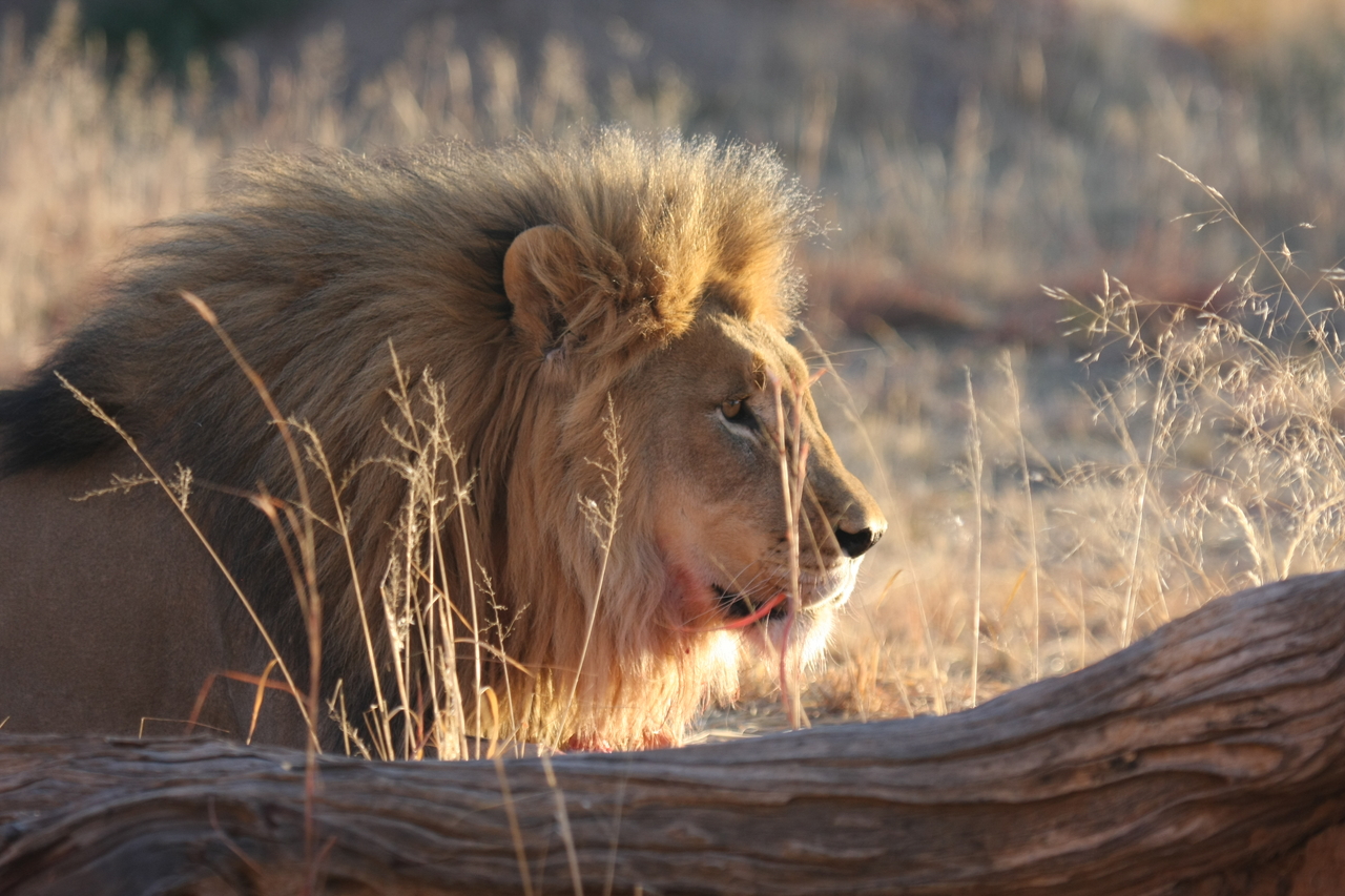 [8194] 2016_06_23_11_52_09_Africa_Canon_EOS_40D_IMG__09120.jpg