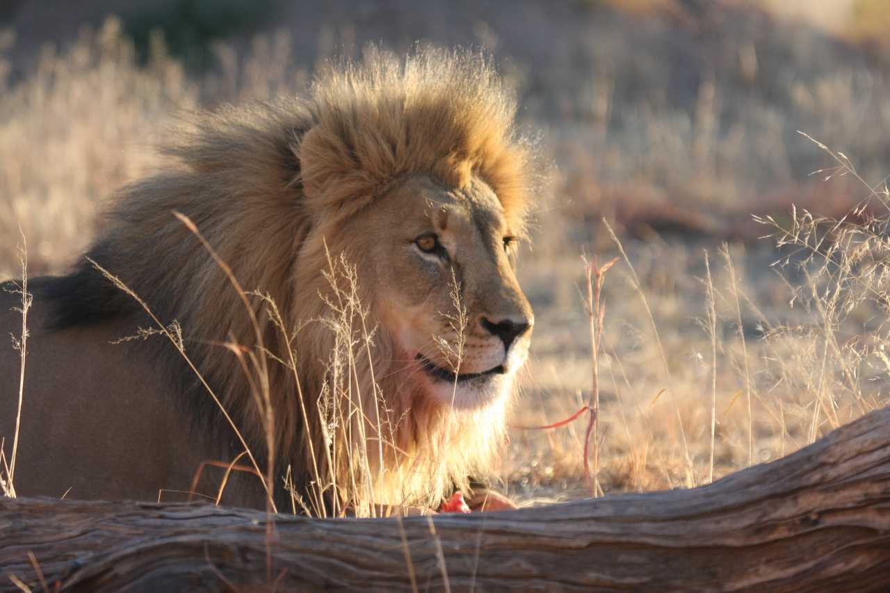 [8204] 2016_06_23_11_52_12_Africa_Canon_EOS_40D_IMG__00846.jpg