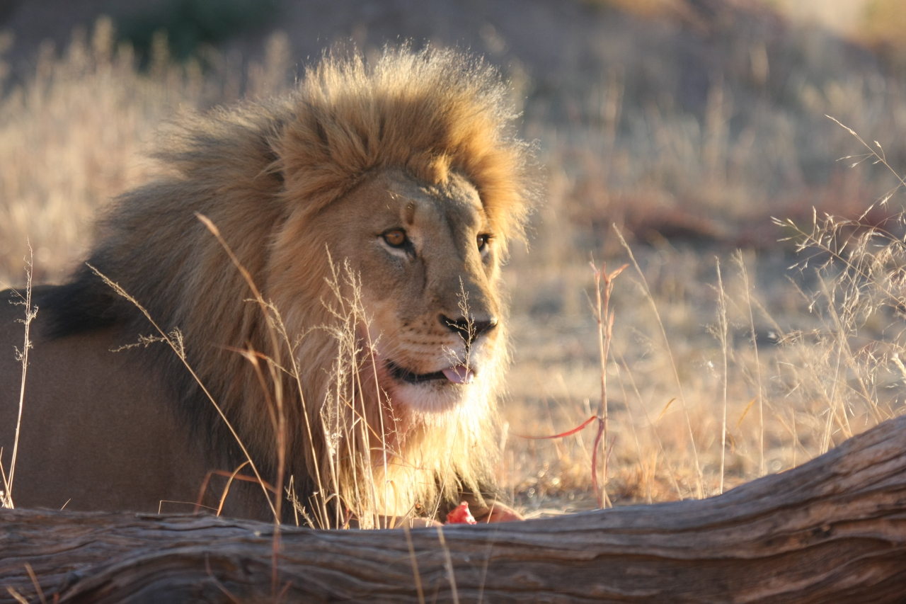 [8205] 2016_06_23_11_52_12_Africa_Canon_EOS_40D_IMG__01679.jpg