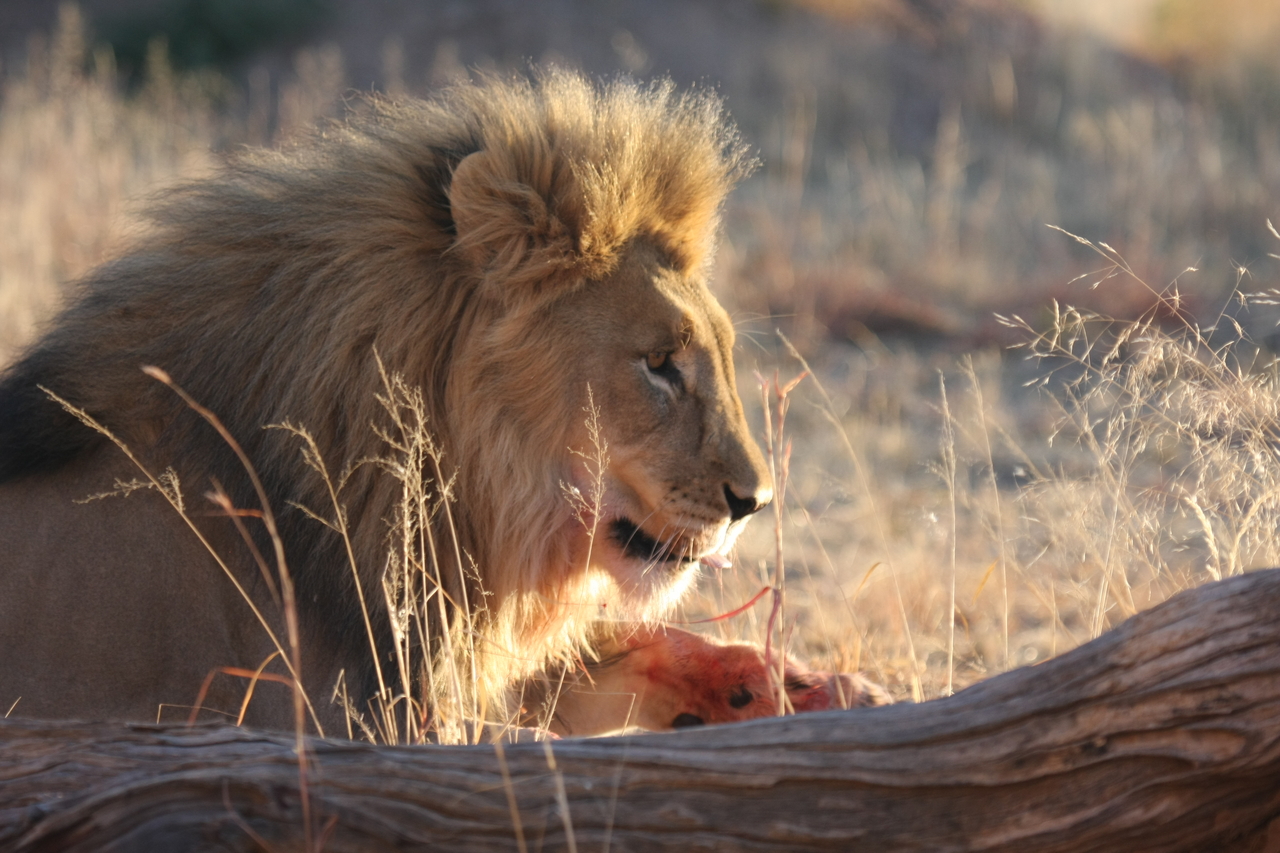 [8211] 2016_06_23_11_52_14_Africa_Canon_EOS_40D_IMG__09128.jpg