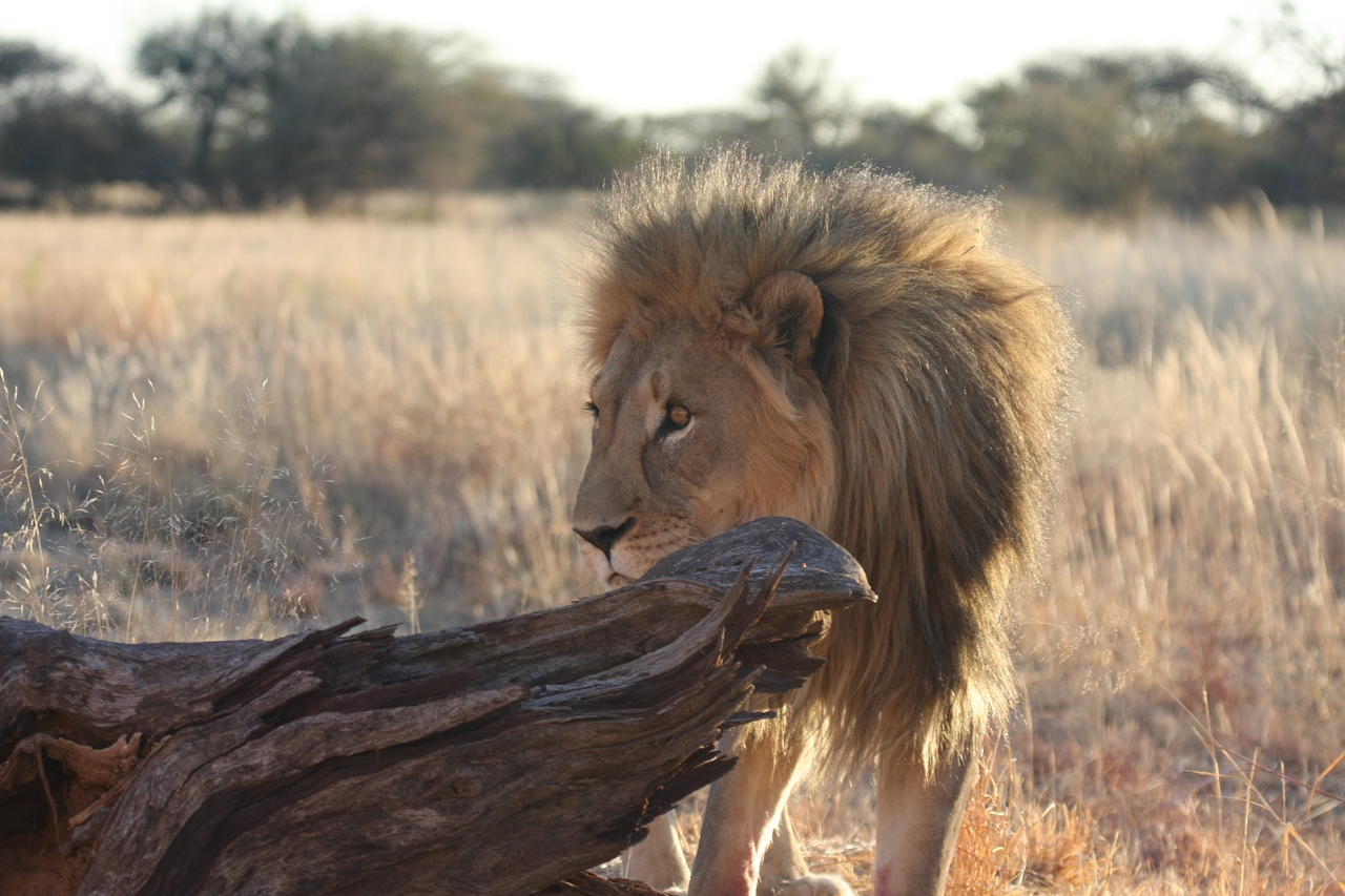 [8242] 2016_06_23_11_52_29_Africa_Canon_EOS_40D_IMG__00859.jpg