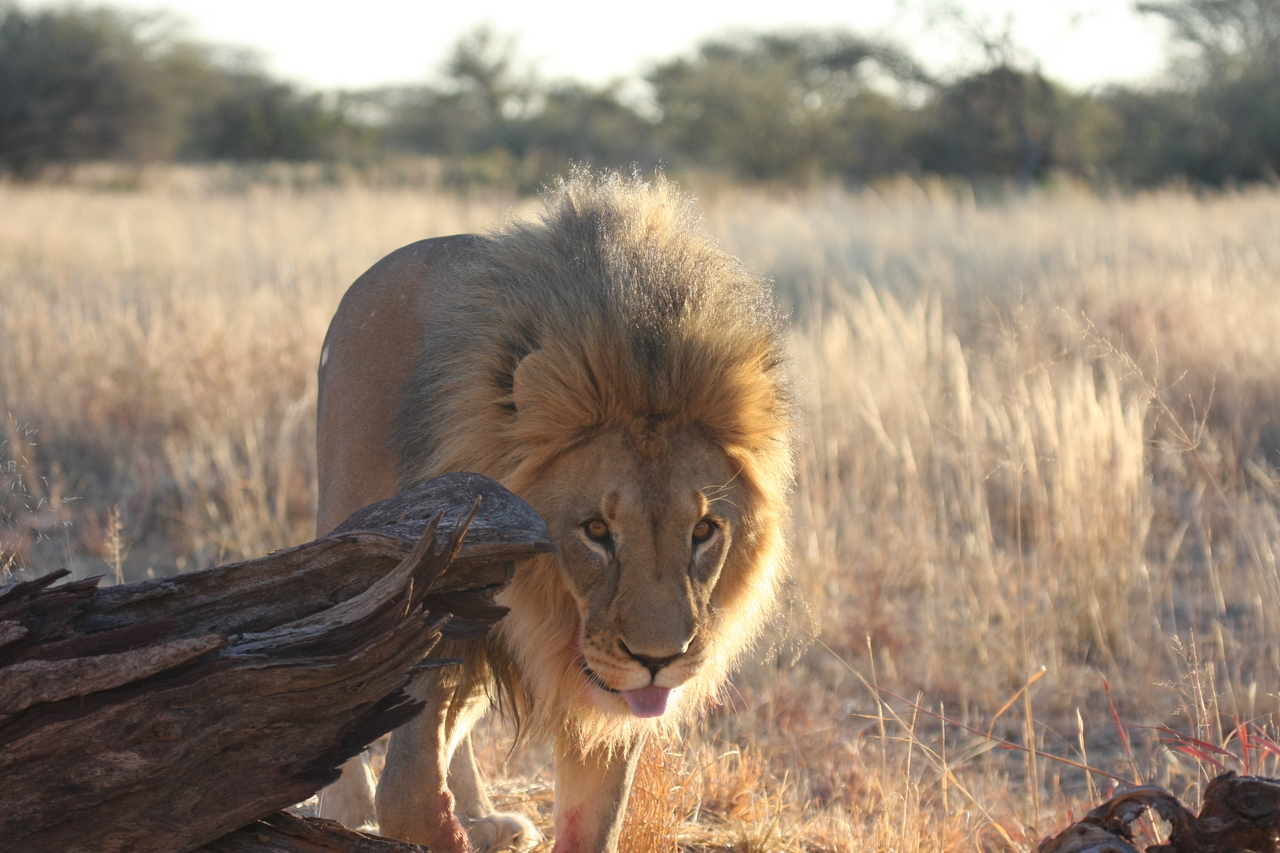 [8253] 2016_06_23_11_52_30_Africa_Canon_EOS_40D_IMG__09143.jpg