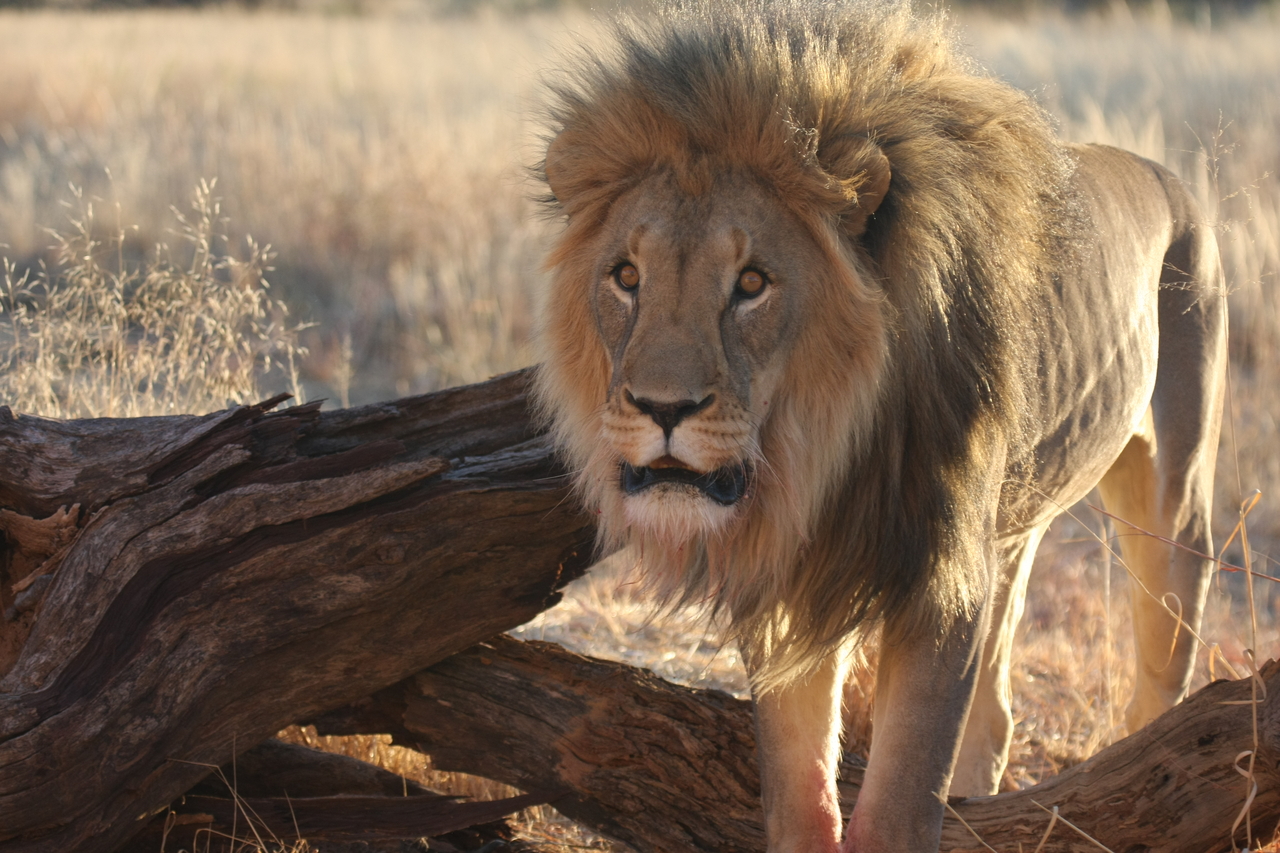 [8273] 2016_06_23_11_52_34_Africa_Canon_EOS_40D_IMG__00872.jpg