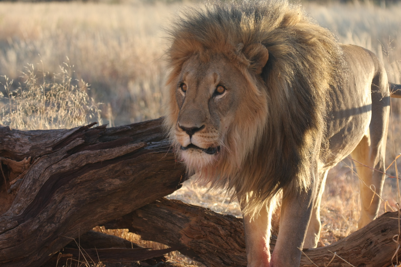 [8275] 2016_06_23_11_52_34_Africa_Canon_EOS_40D_IMG__01705.jpg