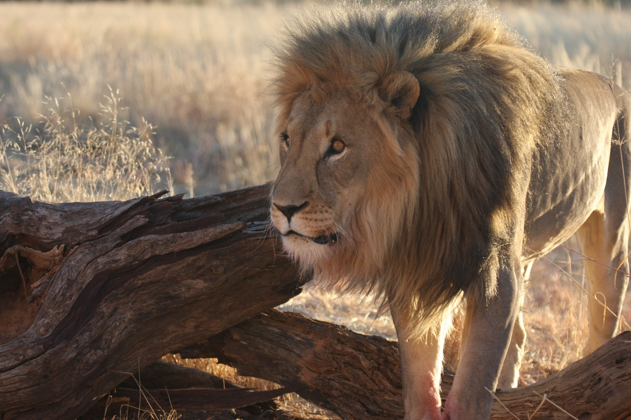 [8277] 2016_06_23_11_52_34_Africa_Canon_EOS_40D_IMG__09151.jpg