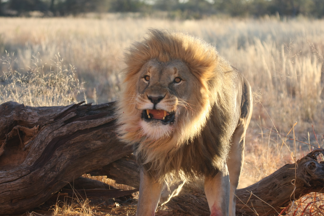 [8281] 2016_06_23_11_52_36_Africa_Canon_EOS_40D_IMG__01707.jpg