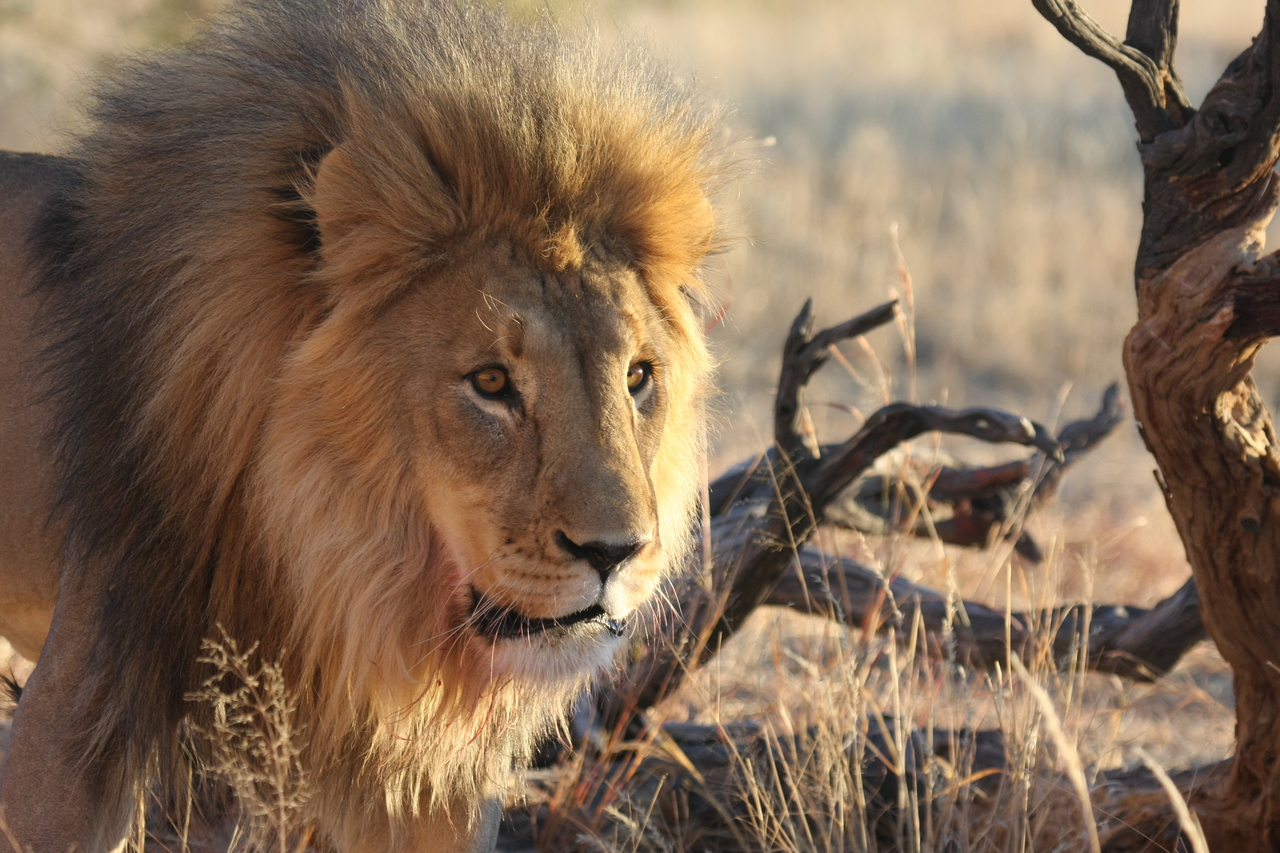 [8316] 2016_06_23_11_53_36_Africa_Canon_EOS_40D_IMG__09165.jpg