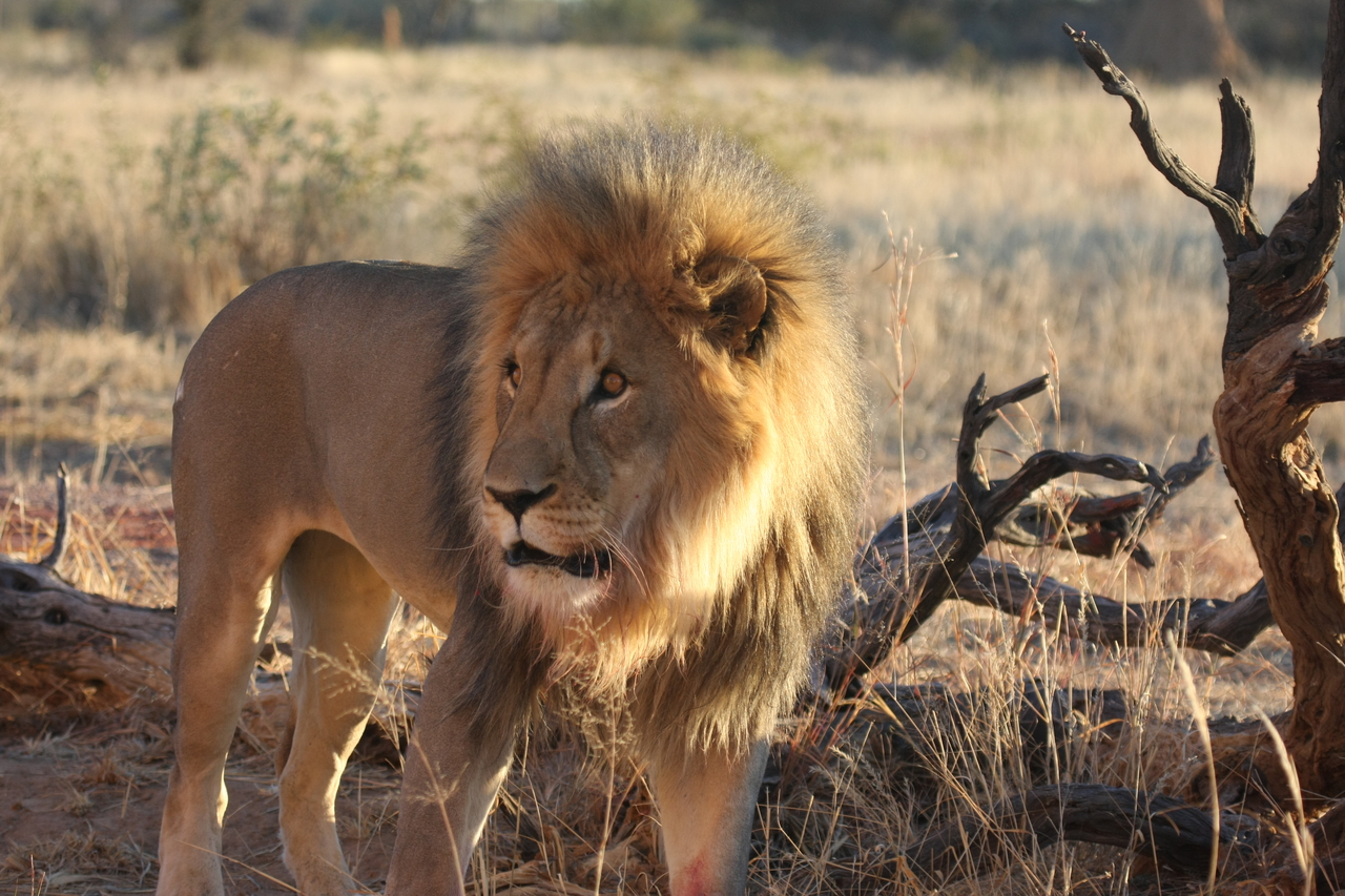 [8327] 2016_06_23_11_53_41_Africa_Canon_EOS_40D_IMG__09169.jpg