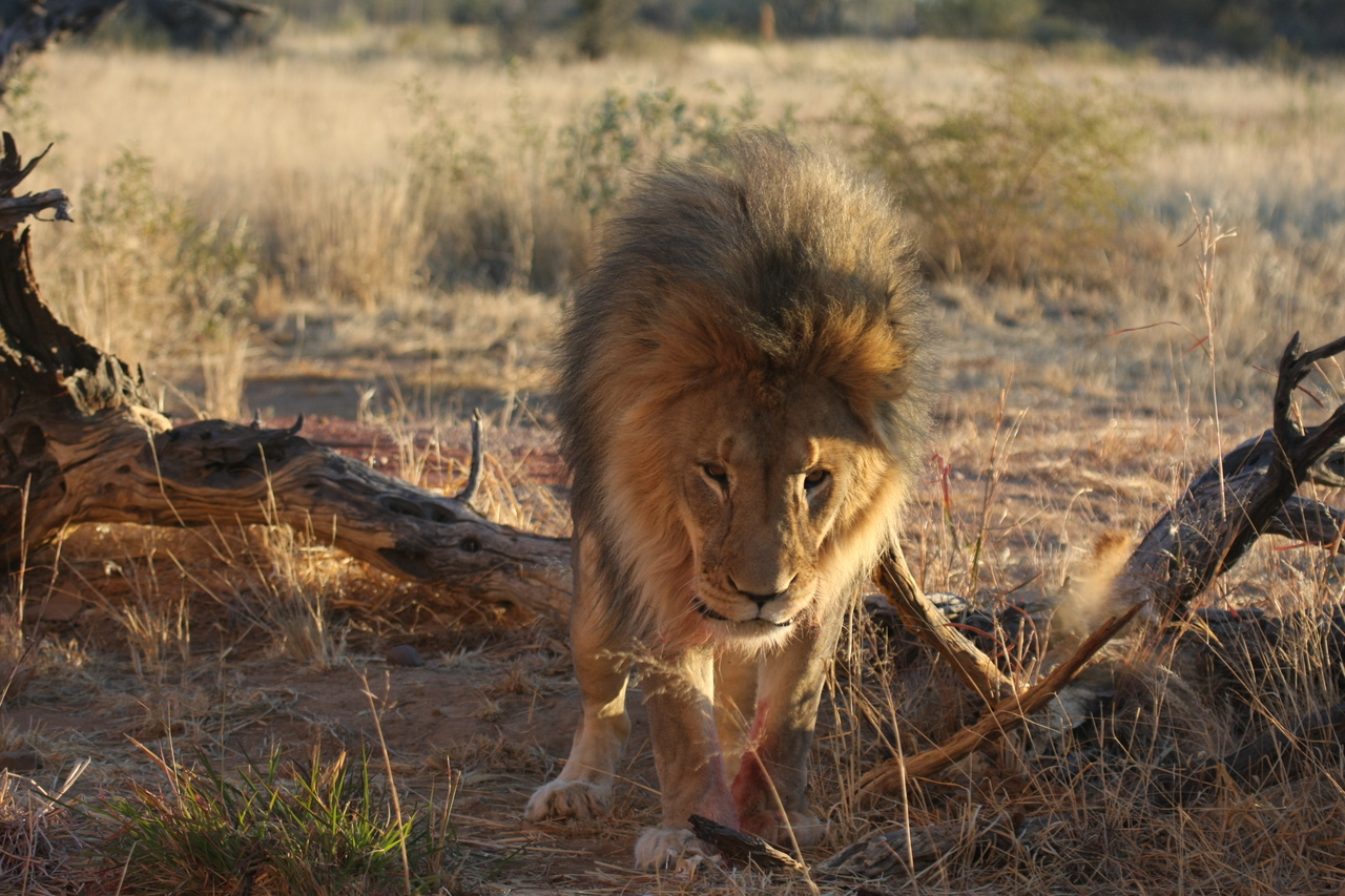 [8344] 2016_06_23_11_53_46_Africa_Canon_EOS_40D_IMG__09174.jpg