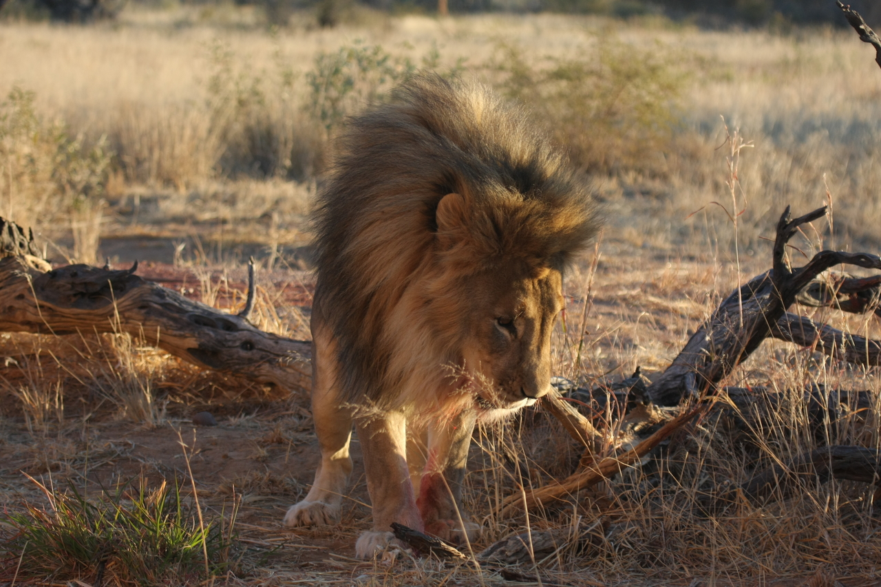 [8345] 2016_06_23_11_53_46_Africa_Canon_EOS_40D_IMG__09175.jpg