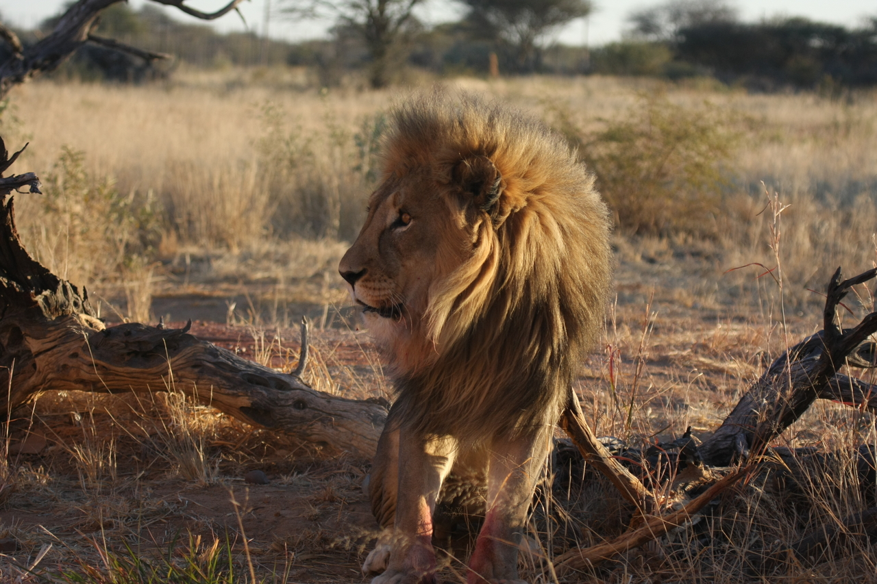 [8355] 2016_06_23_11_53_53_Africa_Canon_EOS_40D_IMG__01734.jpg