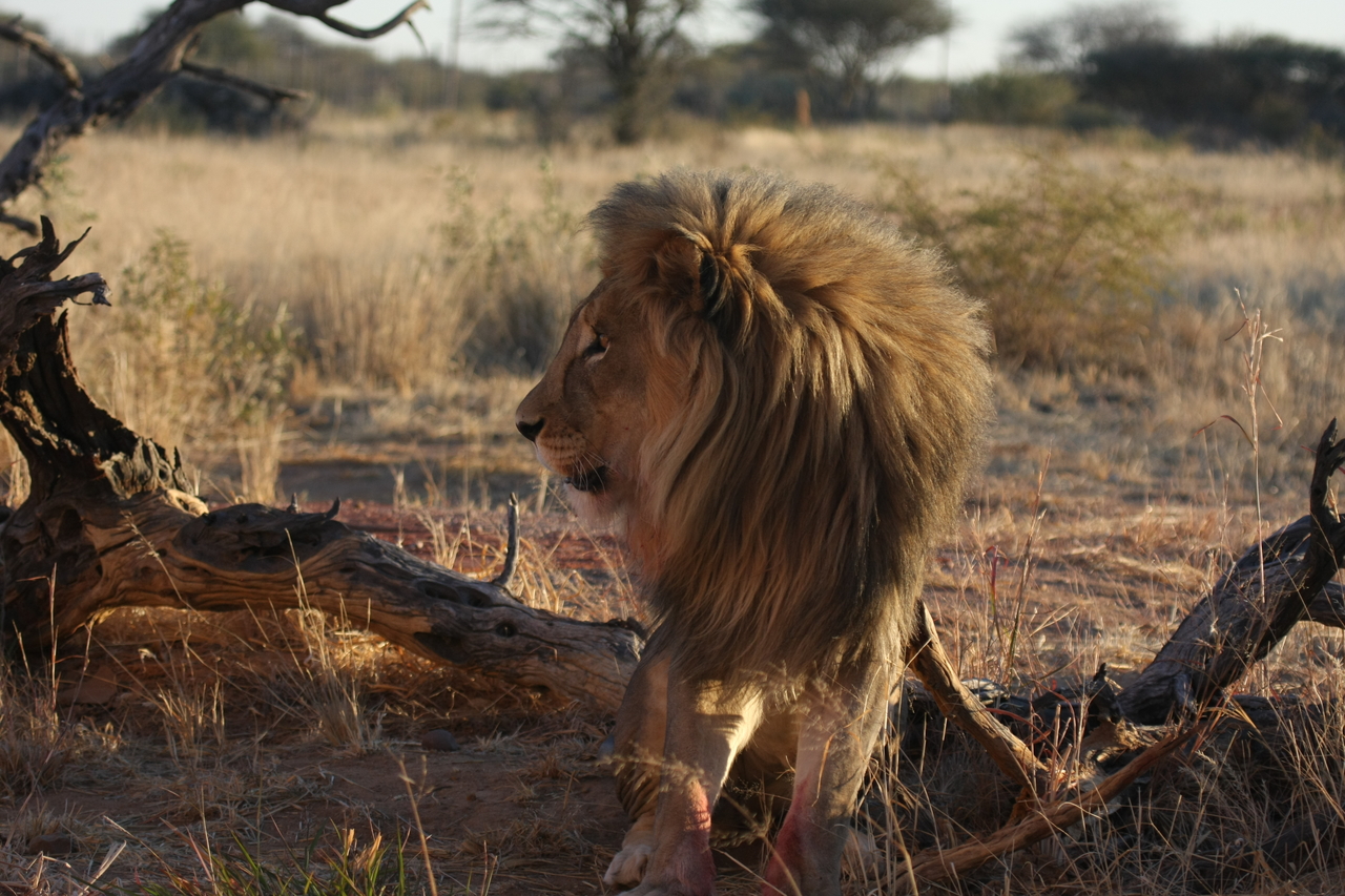 [8372] 2016_06_23_11_53_58_Africa_Canon_EOS_40D_IMG__09185.jpg