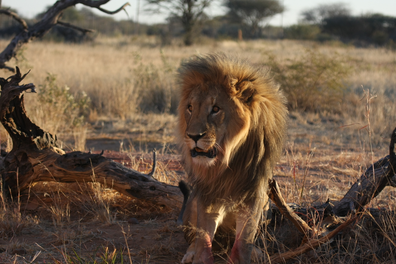 [8378] 2016_06_23_11_54_03_Africa_Canon_EOS_40D_IMG__01739.jpg