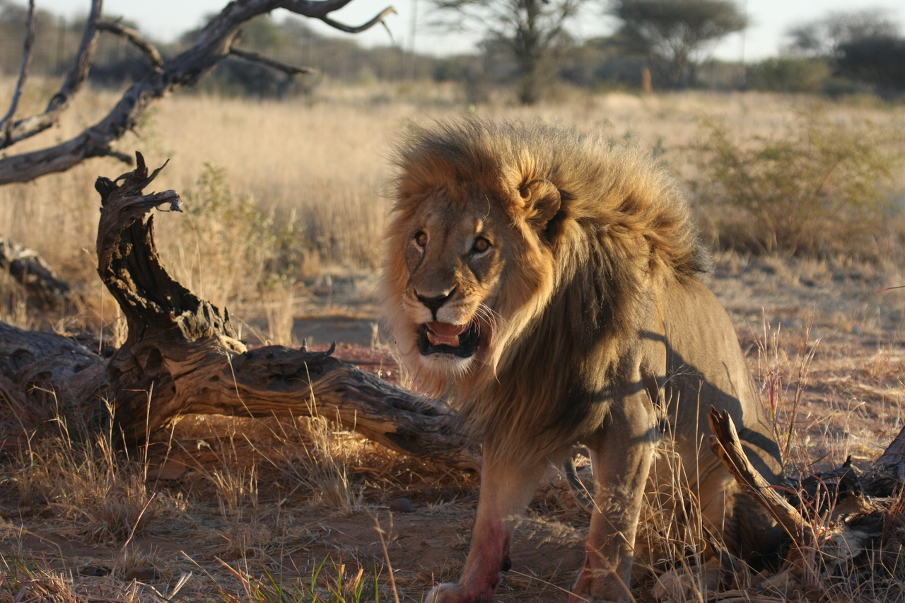 [8396] 2016_06_23_11_54_12_Africa_Canon_EOS_40D_IMG__01746.jpg