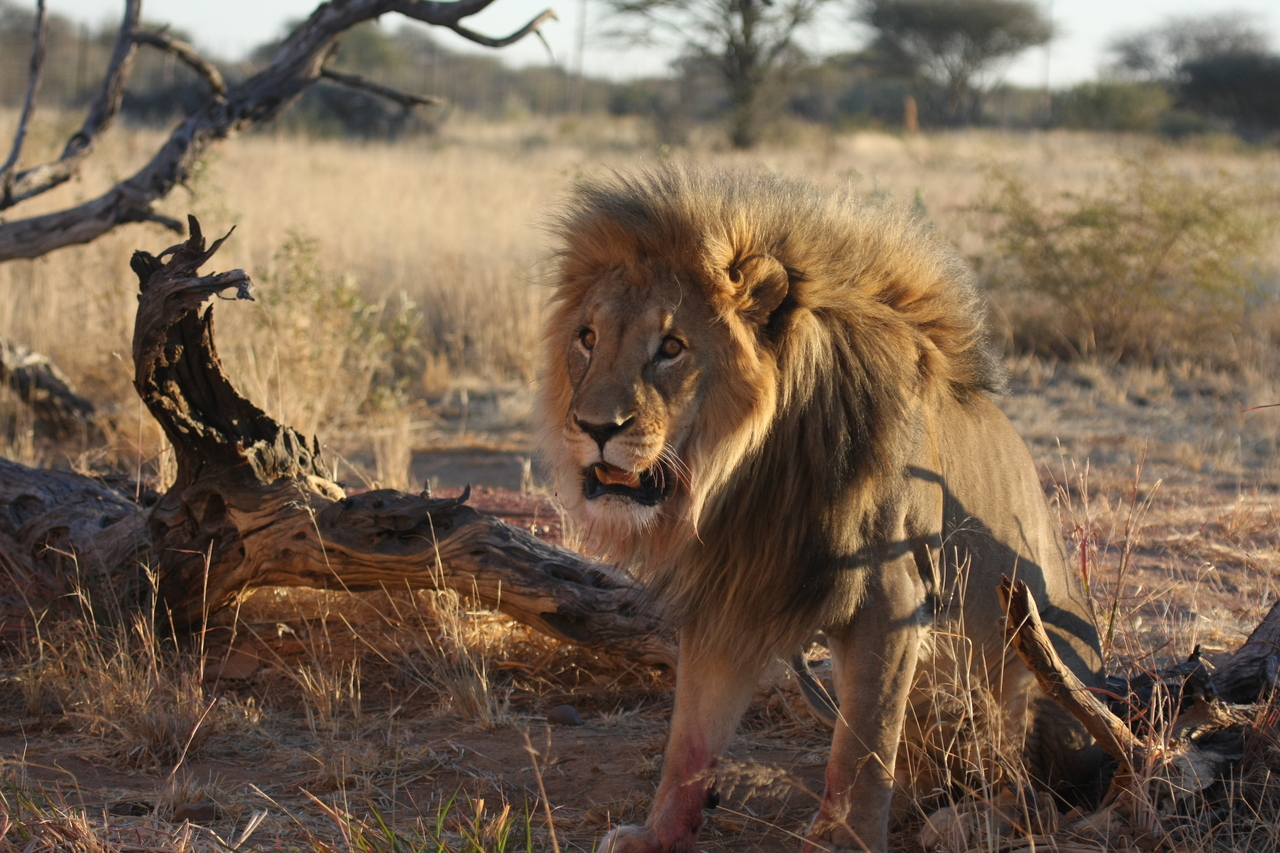 [8398] 2016_06_23_11_54_12_Africa_Canon_EOS_40D_IMG__09192.jpg