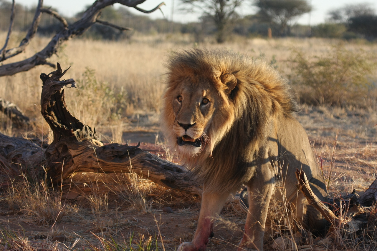 [8405] 2016_06_23_11_54_13_Africa_Canon_EOS_40D_IMG__01749.jpg