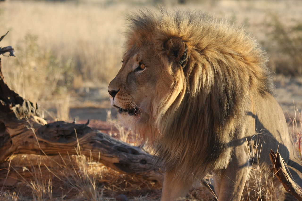 [8419] 2016_06_23_11_54_18_Africa_Canon_EOS_40D_IMG__00921.jpg