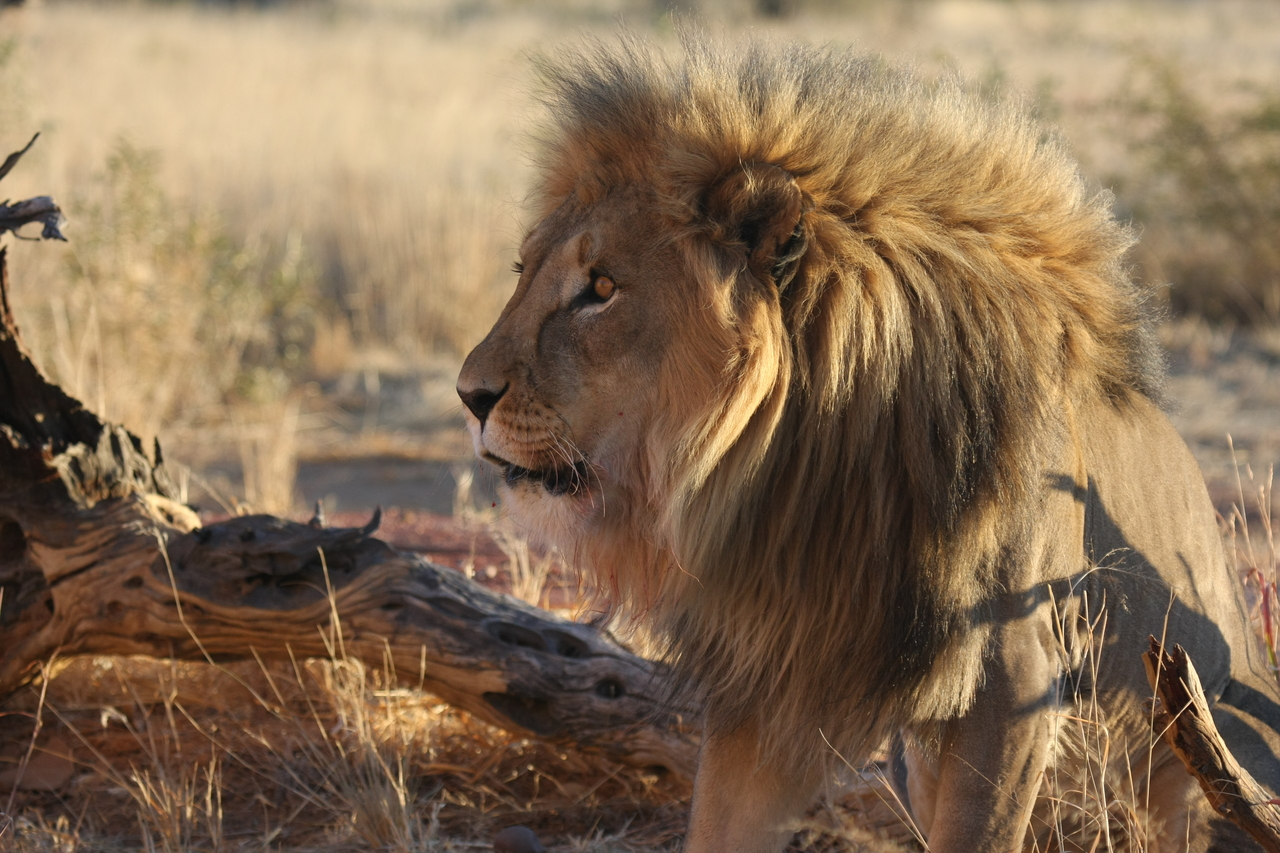 [8426] 2016_06_23_11_54_18_Africa_Canon_EOS_40D_IMG__09203.jpg