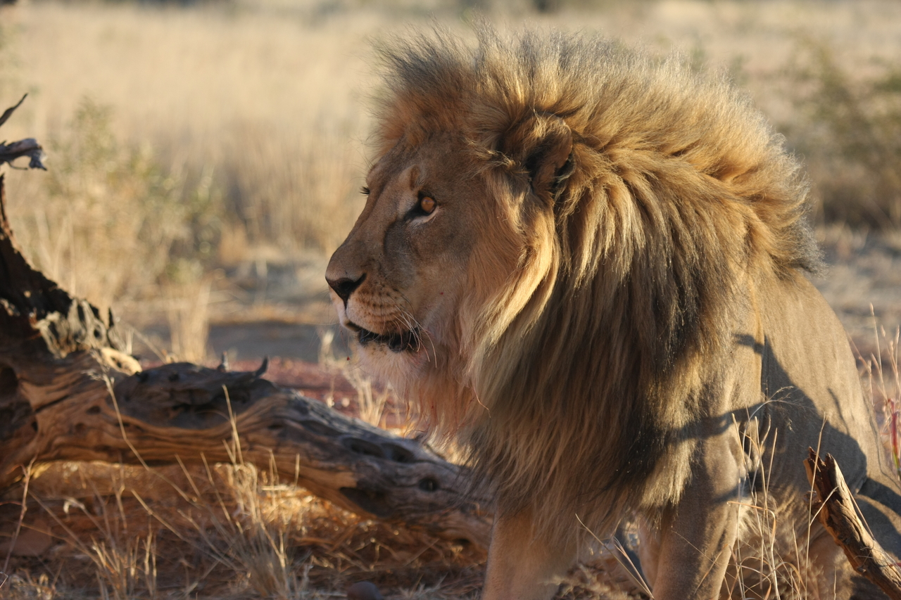 [8427] 2016_06_23_11_54_18_Africa_Canon_EOS_40D_IMG__09204.jpg