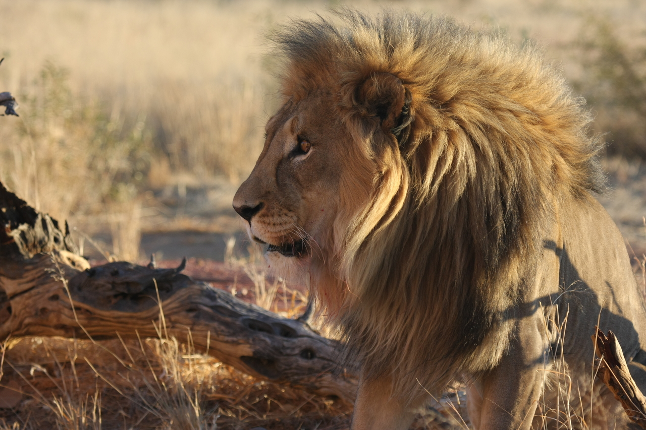 [8429] 2016_06_23_11_54_19_Africa_Canon_EOS_40D_IMG__01758.jpg