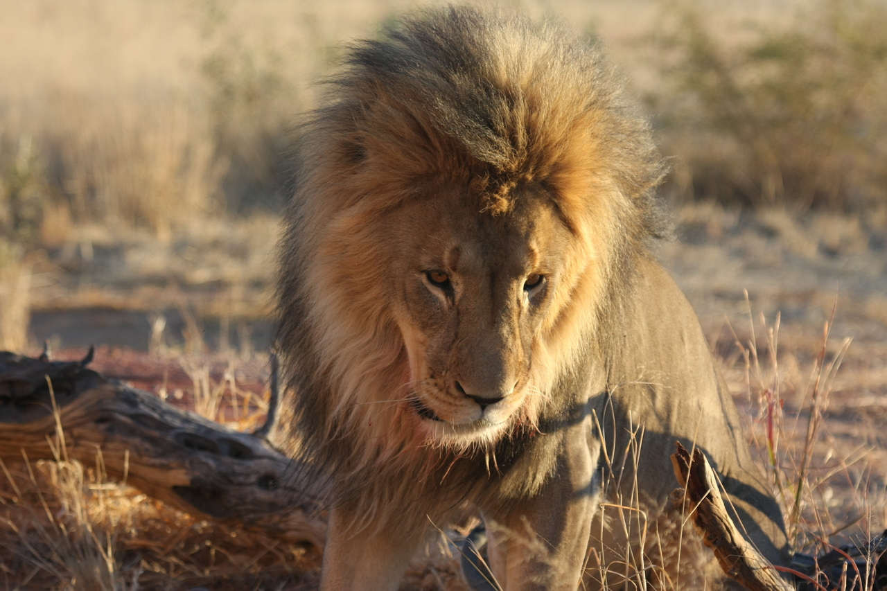 [8466] 2016_06_23_11_54_28_Africa_Canon_EOS_40D_IMG__01767.jpg