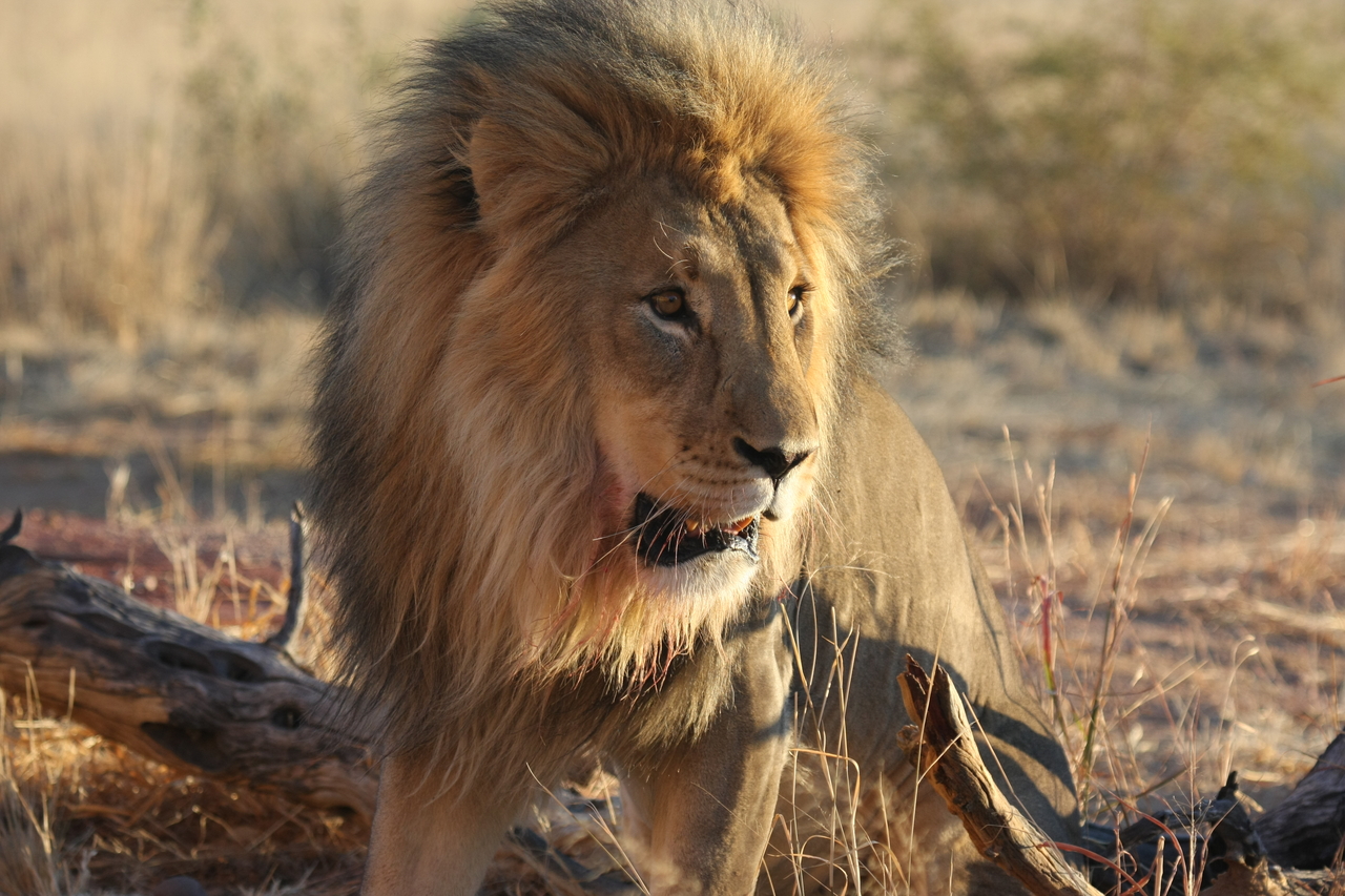 [8477] 2016_06_23_11_54_29_Africa_Canon_EOS_40D_IMG__09217.jpg