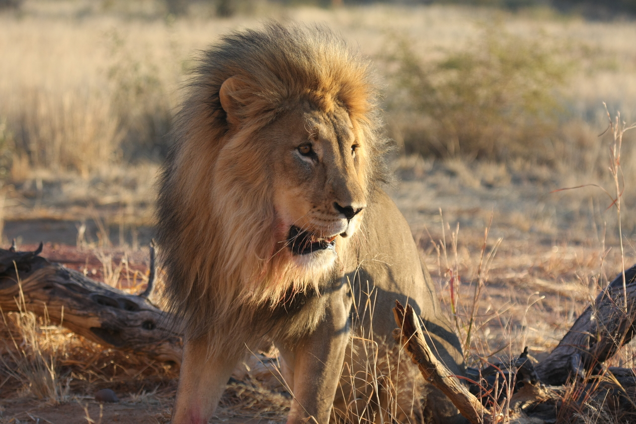 [8482] 2016_06_23_11_54_31_Africa_Canon_EOS_40D_IMG__00939.jpg