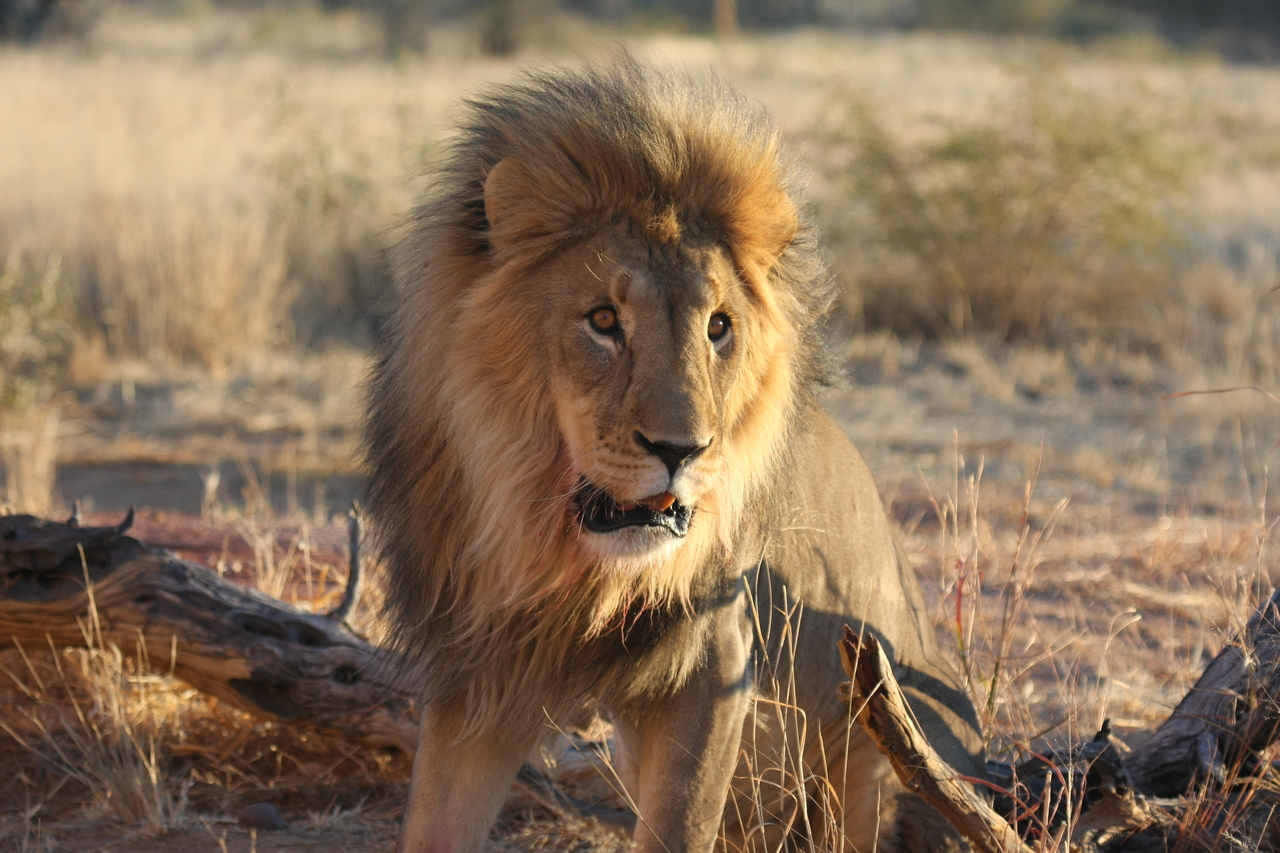 [8498] 2016_06_23_11_54_33_Africa_Canon_EOS_40D_IMG__01779.jpg