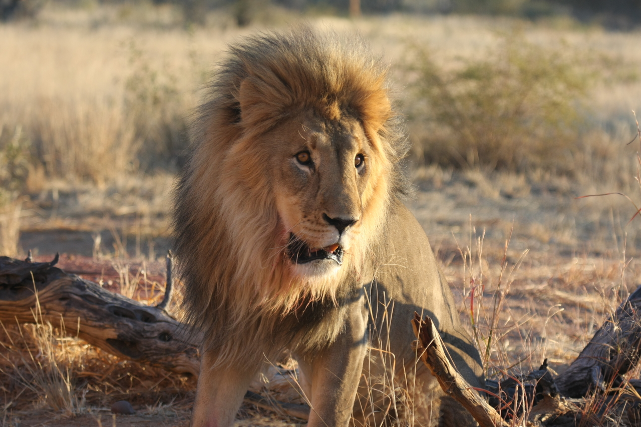 [8500] 2016_06_23_11_54_33_Africa_Canon_EOS_40D_IMG__09225.jpg