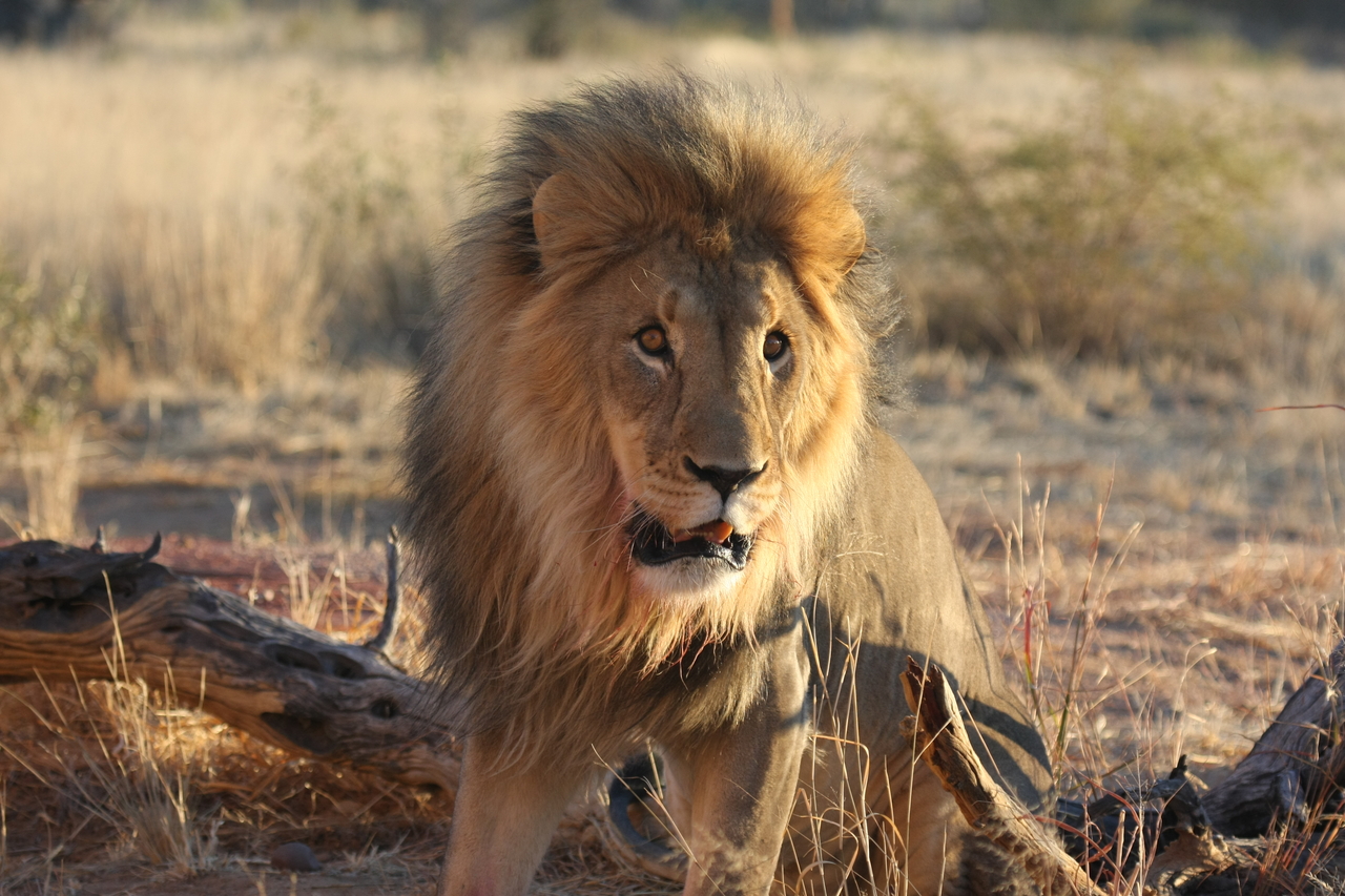 [8502] 2016_06_23_11_54_34_Africa_Canon_EOS_40D_IMG__00946.jpg