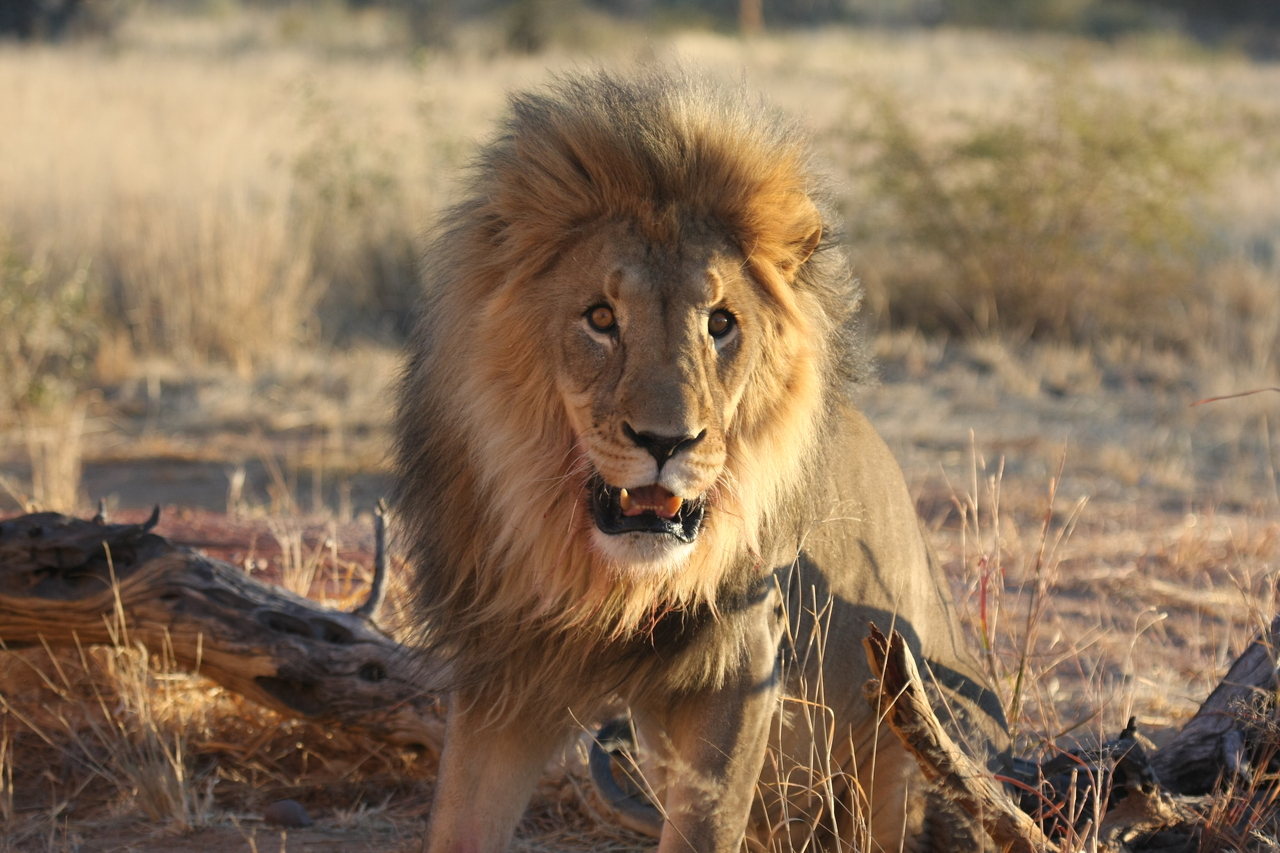 [8510] 2016_06_23_11_54_34_Africa_Canon_EOS_40D_IMG__09229.jpg